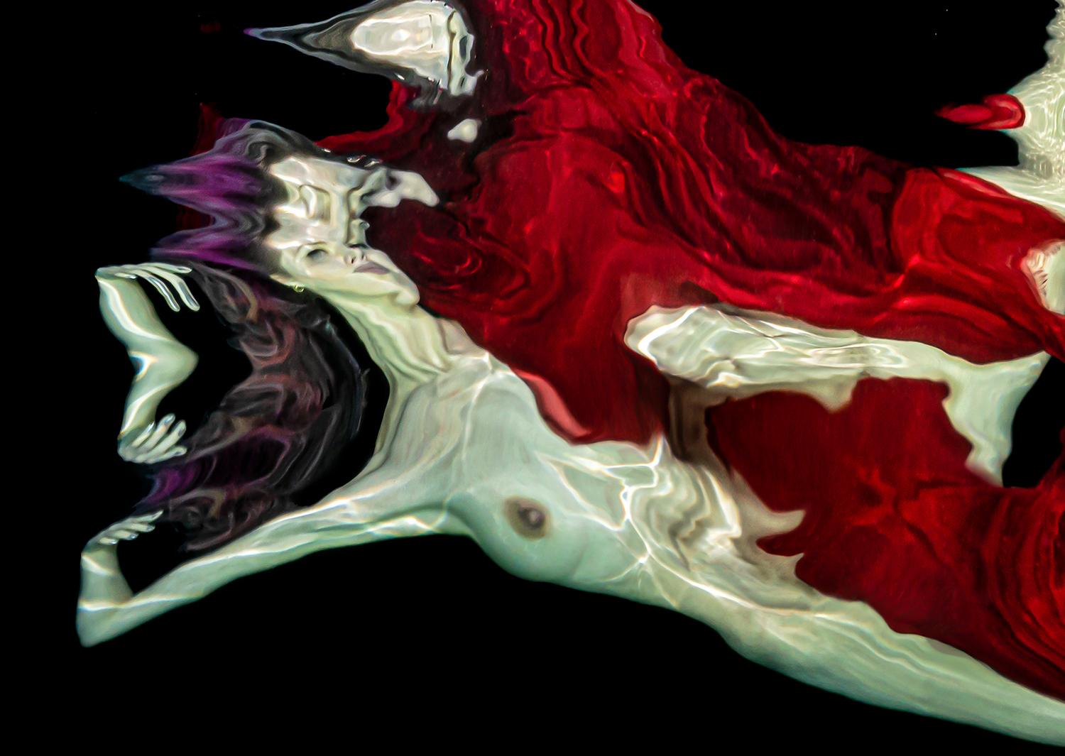 Burdeos - foto de desnudo bajo el agua - impresión sobre aluminio 8 x 12