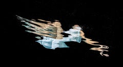 Pinselstrich – Unterwasserfotografie  Aus der Serie REFLECTIONS - Aluminium 20x36"