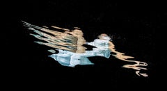 Peinture au pinceau - série de photographies sous-marines REFLECTIONS - pigment d'archives 13x24".