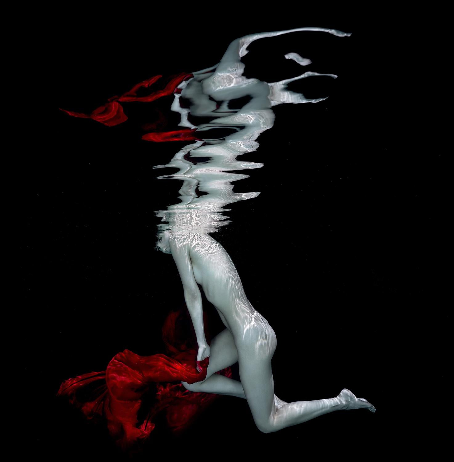 Carmen - photo de nu sous l'eau - impression sur aluminium 12 x 12 pouces - Photograph de Alex Sher