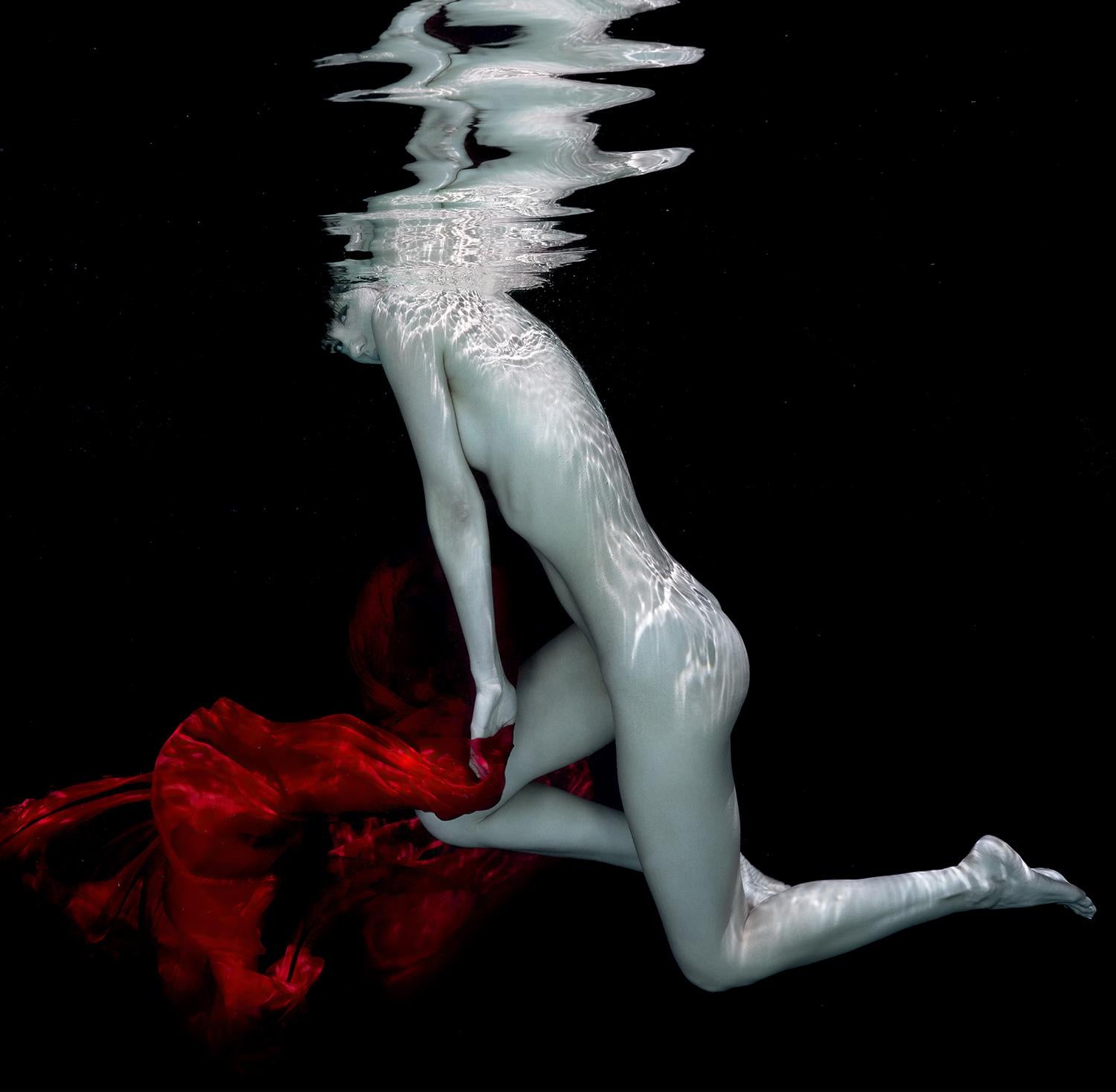 Carmen - photo de nu sous l'eau - impression sur aluminium 12 x 12 pouces - Contemporain Photograph par Alex Sher