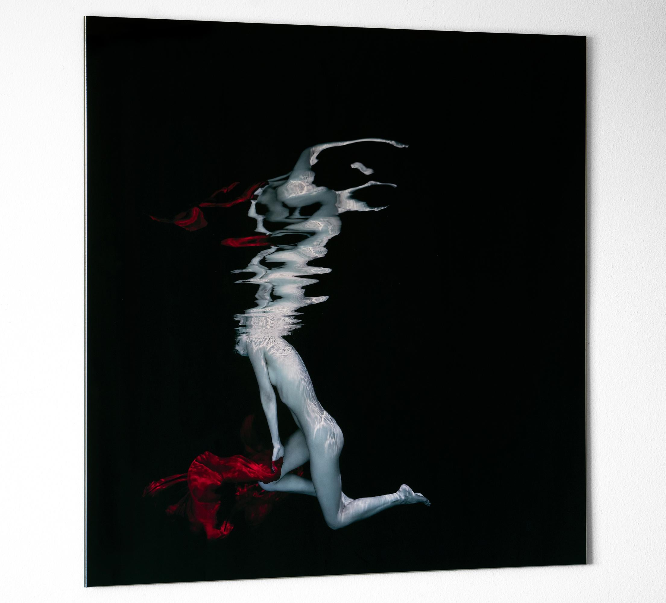 Carmen - underwater nude photograph - print on aluminum 40