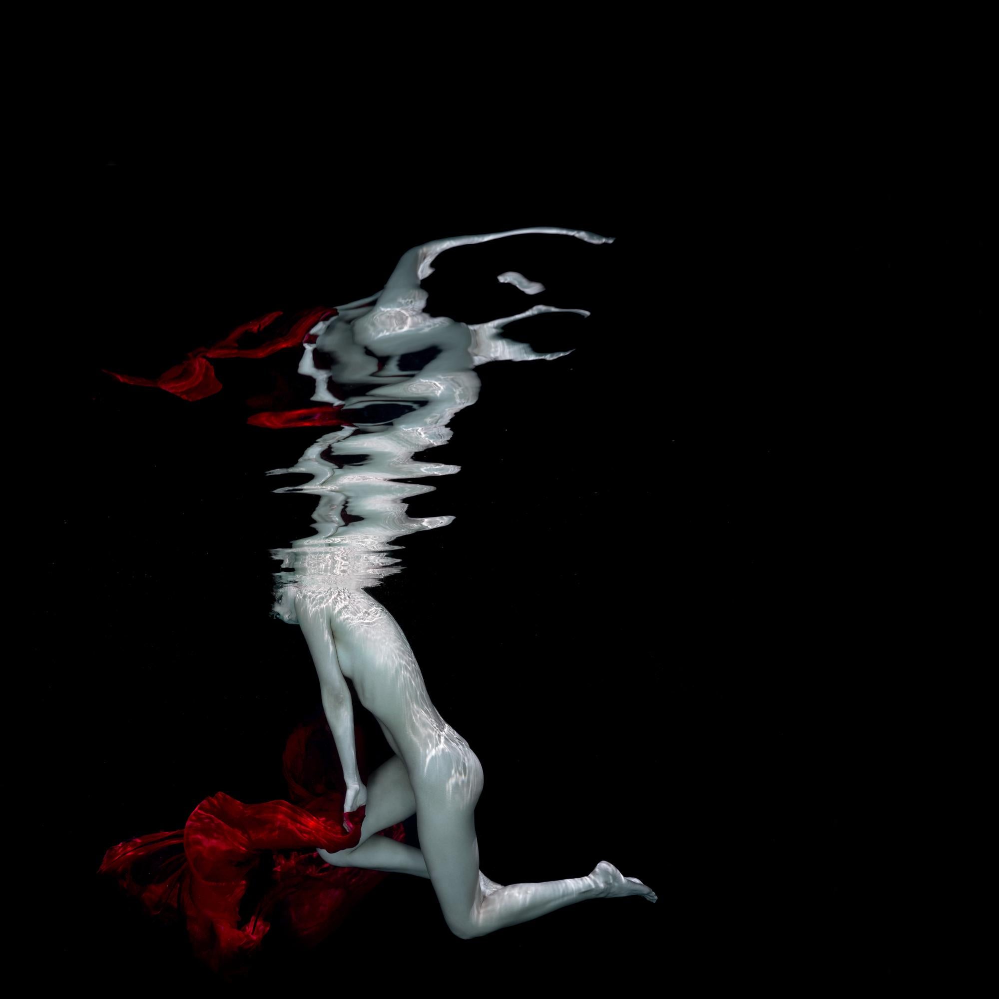 Alex Sher Nude Photograph – Carmen – Aktfotografie unter Wasser – Druck auf Aluminium 40" x 40""