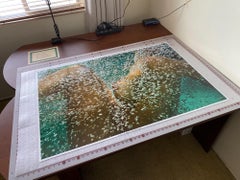 Champagne - underwater nude photograph - archival pigment 35" x 53"