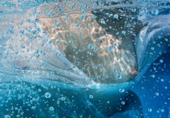 Chilled Champagner - Unterwasser-Nacktfotografie - Druck auf Papier 16 x 23,5