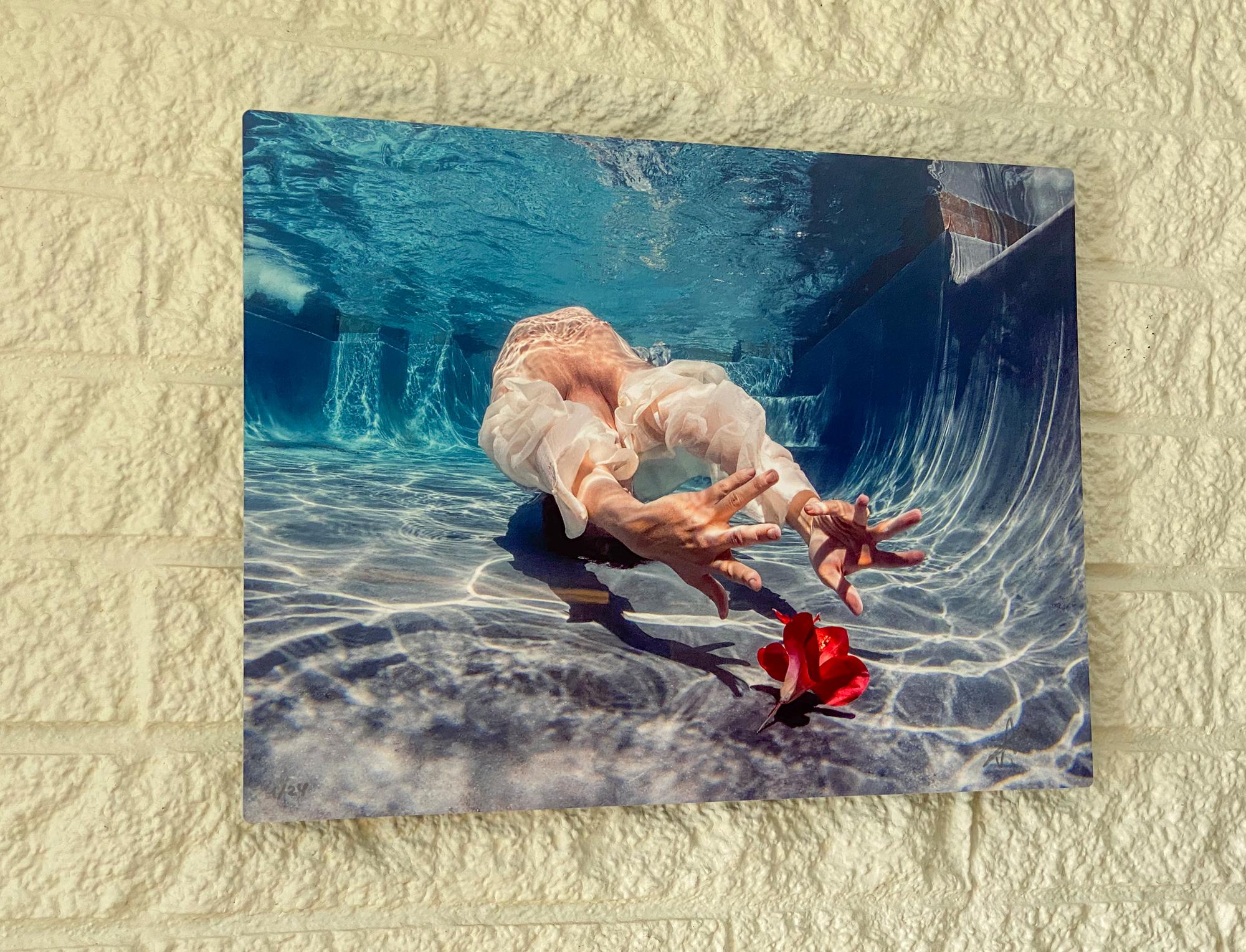 Cold Song II - underwater photograph - print on aluminum 17 x 24 - Photograph by Alex Sher