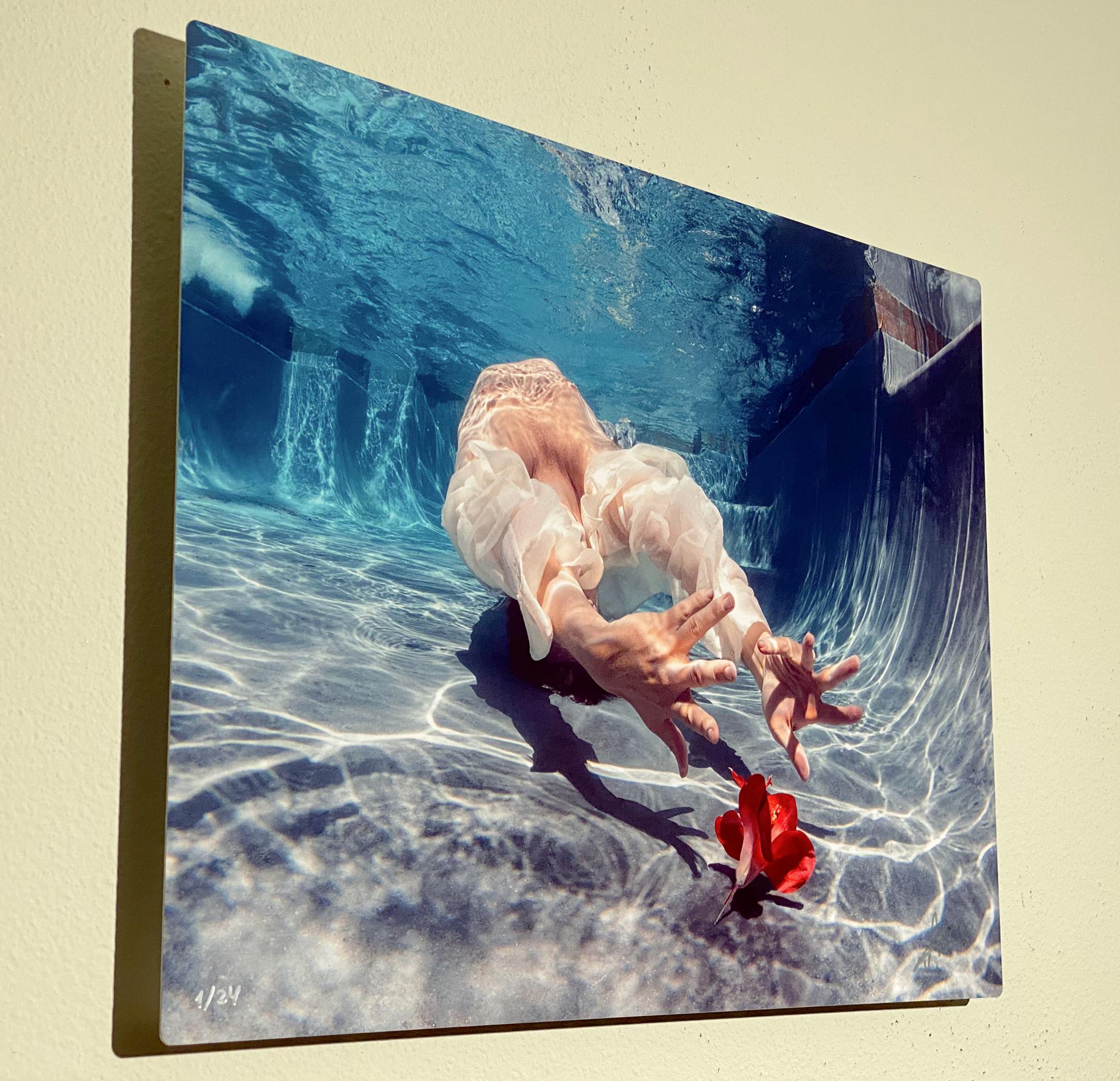 Cold Song II – Unterwasserfotografie – Druck auf Aluminium 17 x 24 (Zeitgenössisch), Photograph, von Alex Sher