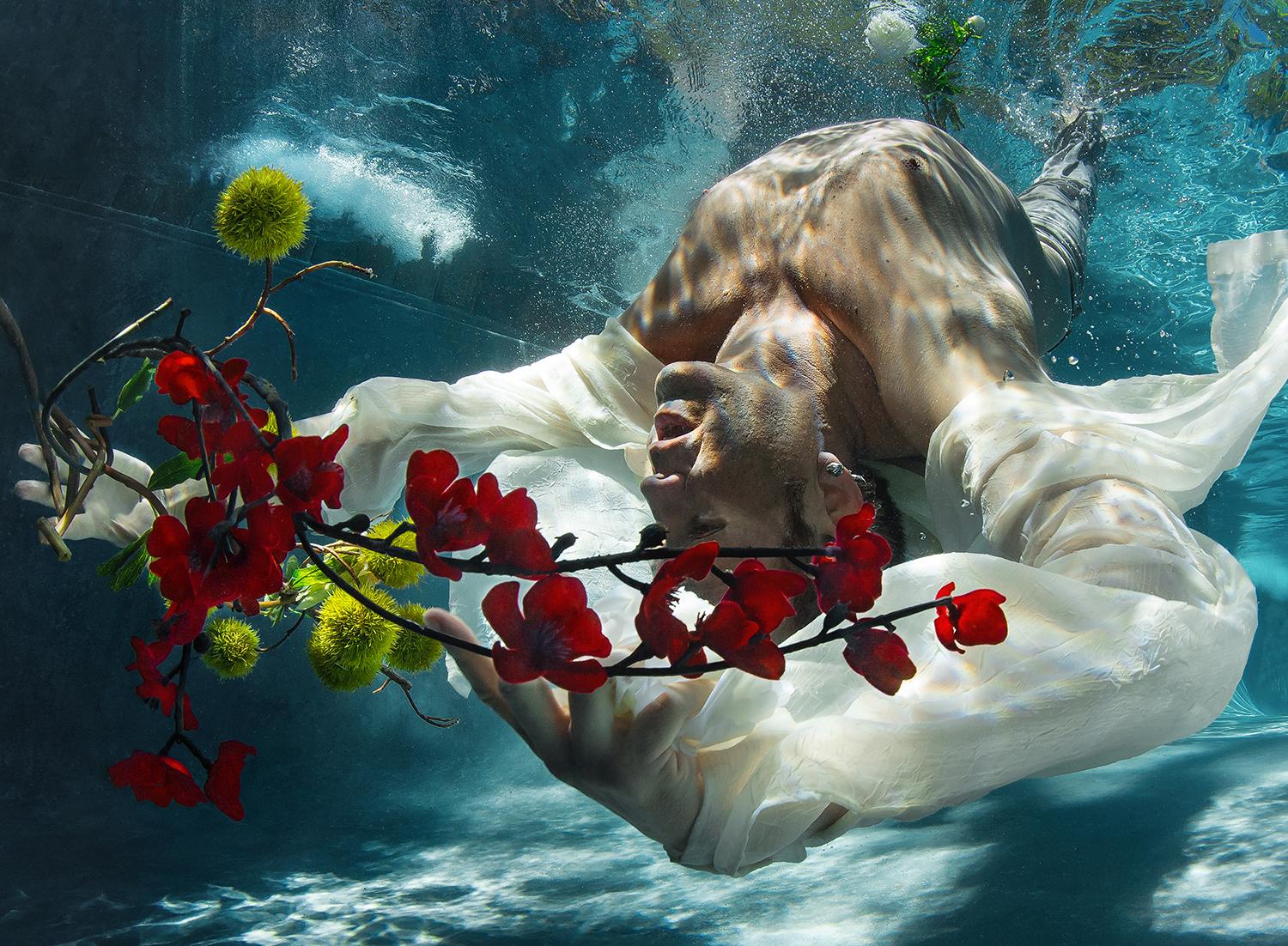 Cold Song - Unterwasser-Nacktes Foto - Druck auf Aluminium 8 x 12