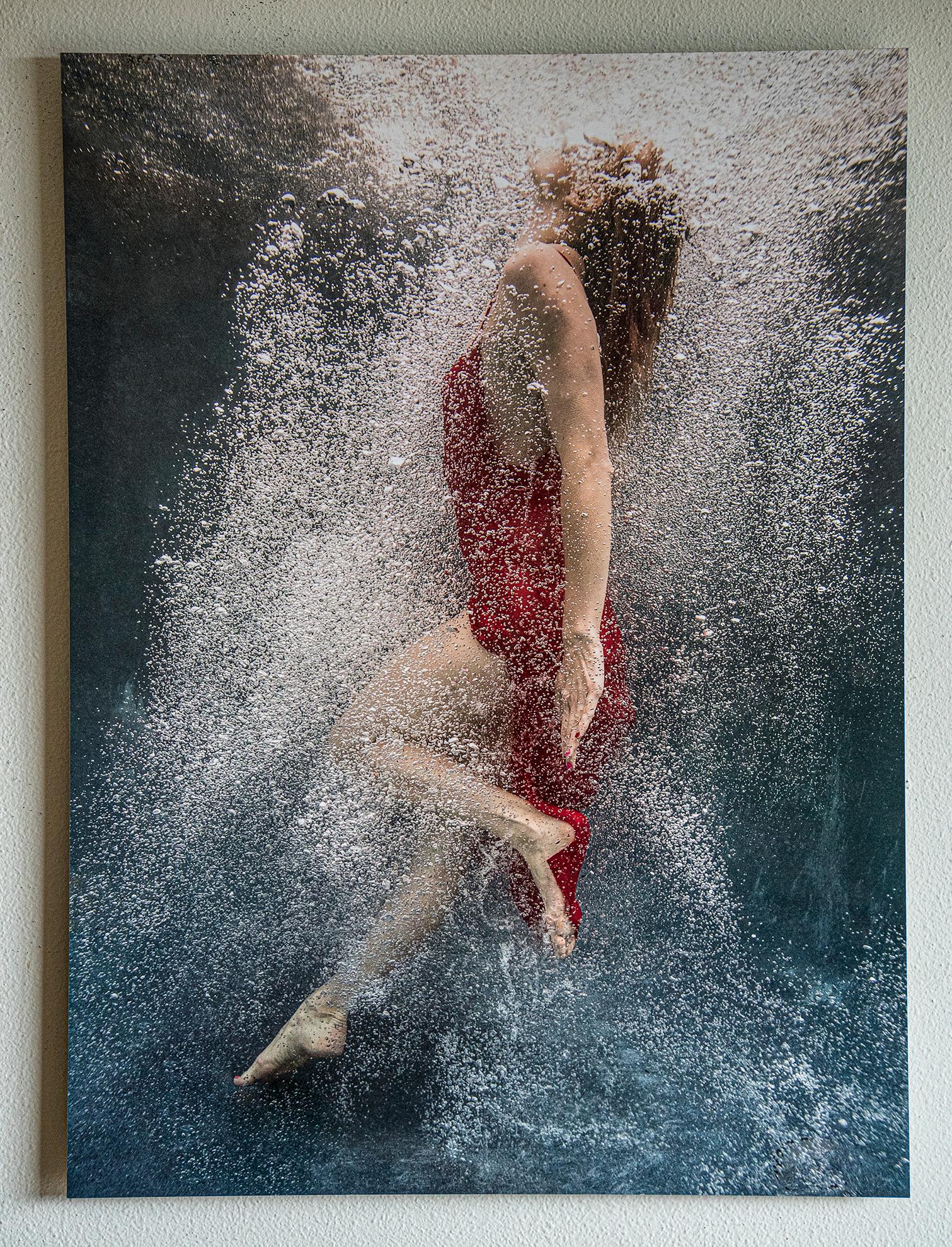 Coming Back   - underwater photograph - print on aluminum - Photograph by Alex Sher