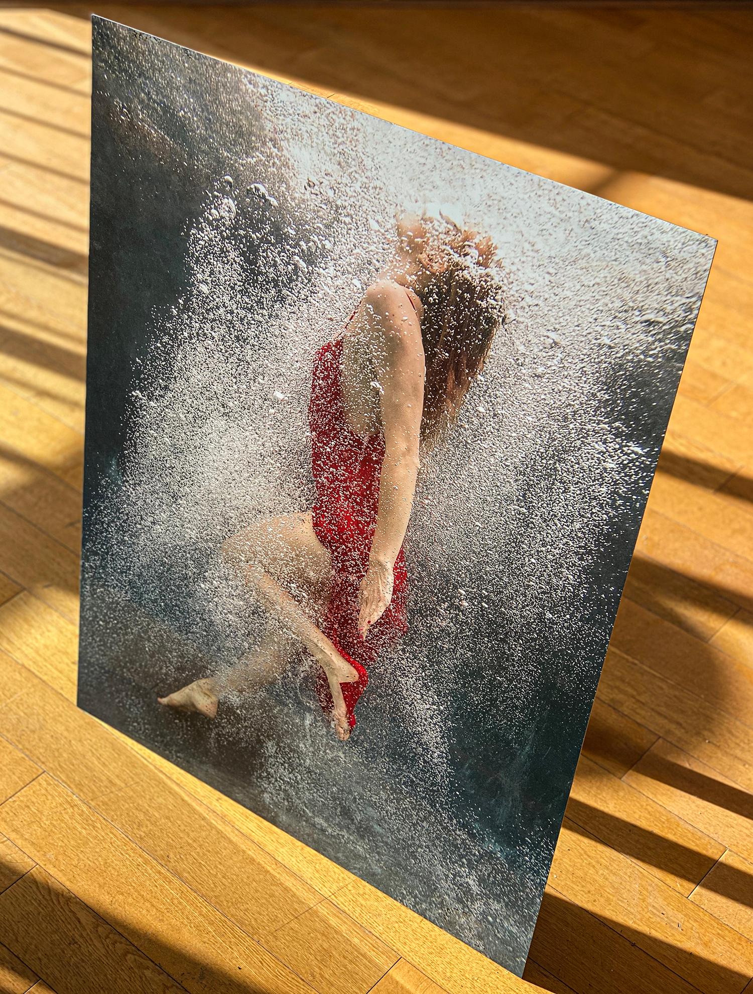 Kommend zurück   Unterwasserfotografie - Druck auf Aluminium 36