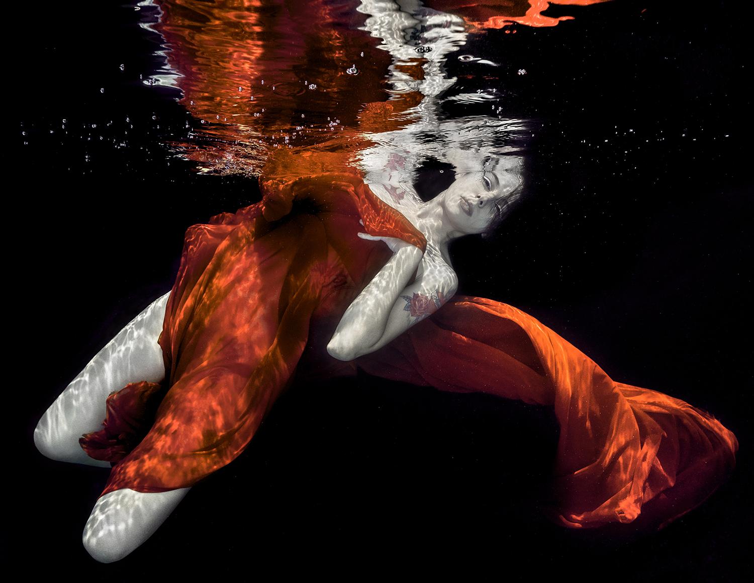 Velvet cuivré - photographie sous-marine - impression sur papier 17