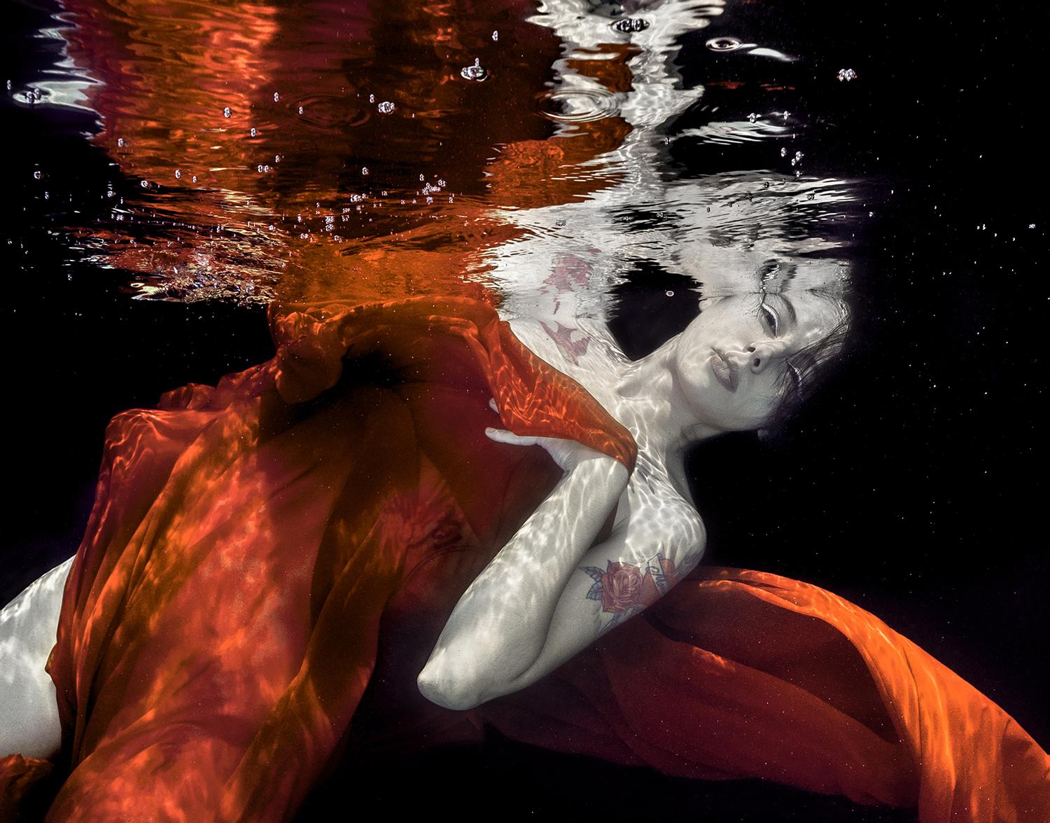 Velvet cuivré - photographie sous-marine - impression sur papier 17