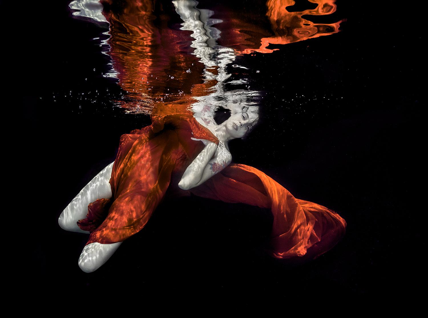 Figurative Photograph Alex Sher - Velvet cuivré - photographie sous-marine - impression sur papier 17" x 23"