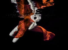 Velvet cuivré - photographie sous-marine - impression sur papier 17" x 23"