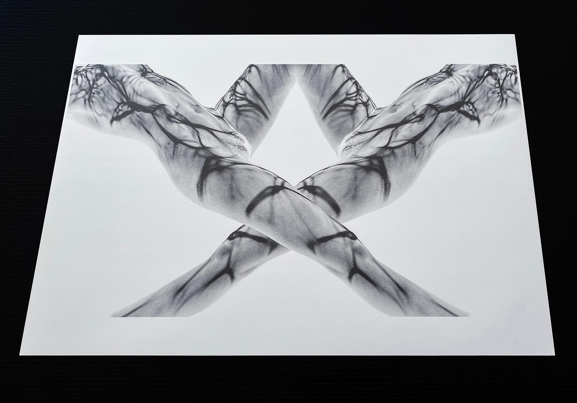 Crossfire - Unterwasser-Schwarz-Weiß-Nacktfotografie - Druck auf Papier 43 x 72