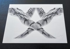 Crossfire - fotografía de desnudo bajo el agua - impresión de pigmento de archivo 14x23"