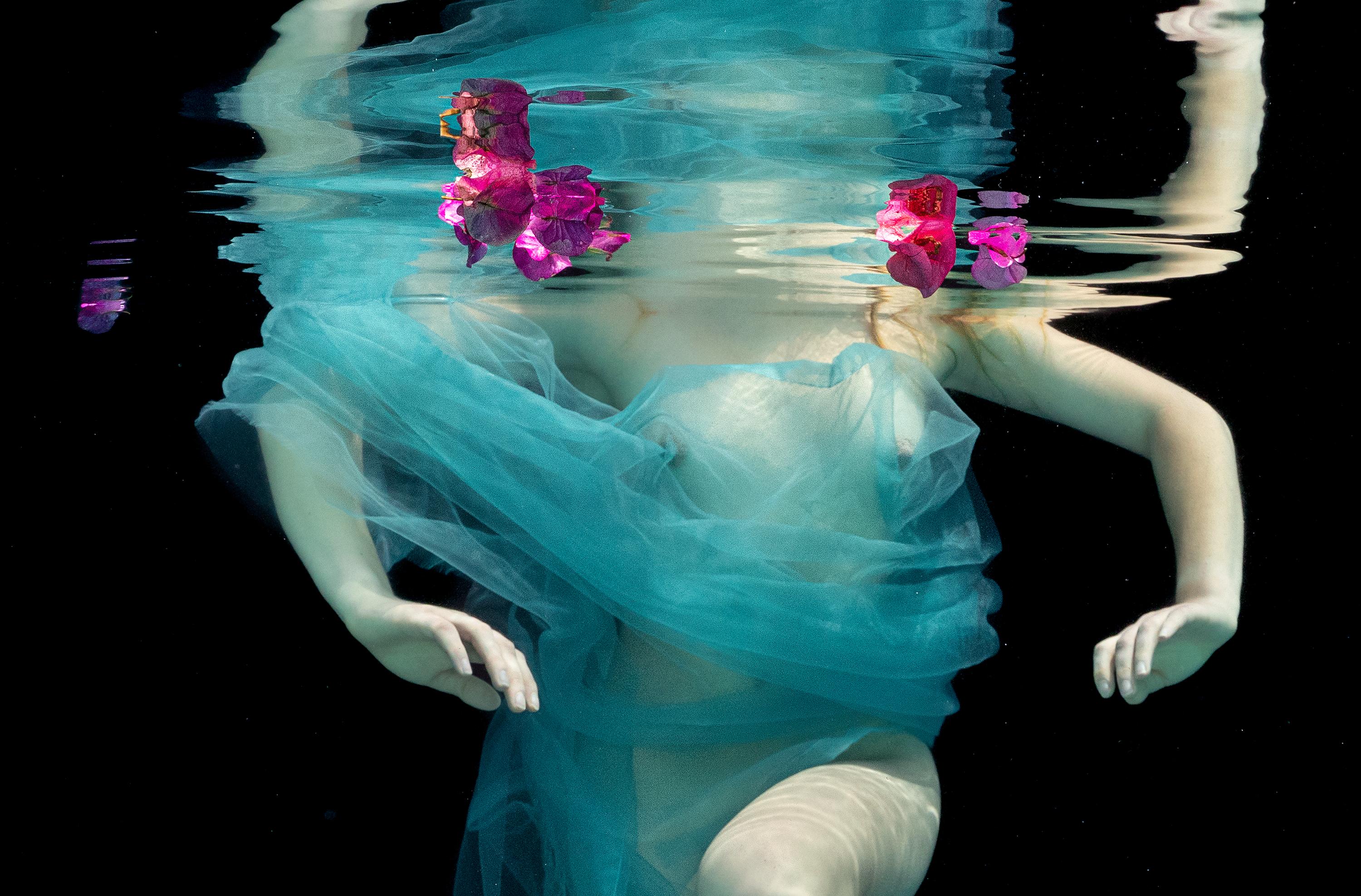 An underwater photograph of a naked young woman wrapped in cyan tulle dancing with the bougainvillea flowers on deep black background.

Original gallery quality archival pigment print signed by the artist. 
Limited edition of 24
The artwork is