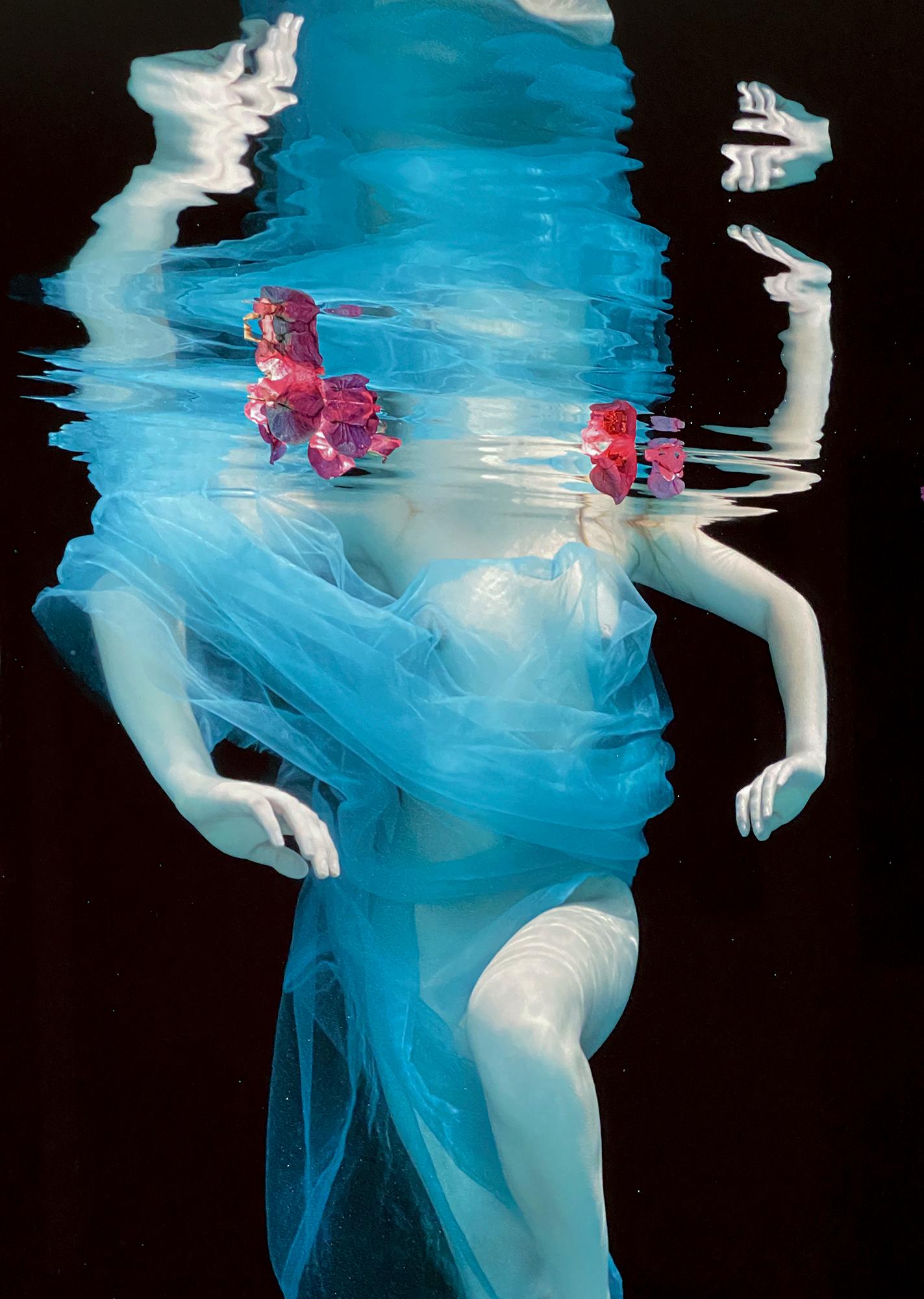 Flores danzantes   - fotografía de desnudo bajo el agua - impresión sobre aluminio 48