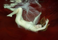 Die Loreley - underwater nude photograph - print on paper 17" x 24"