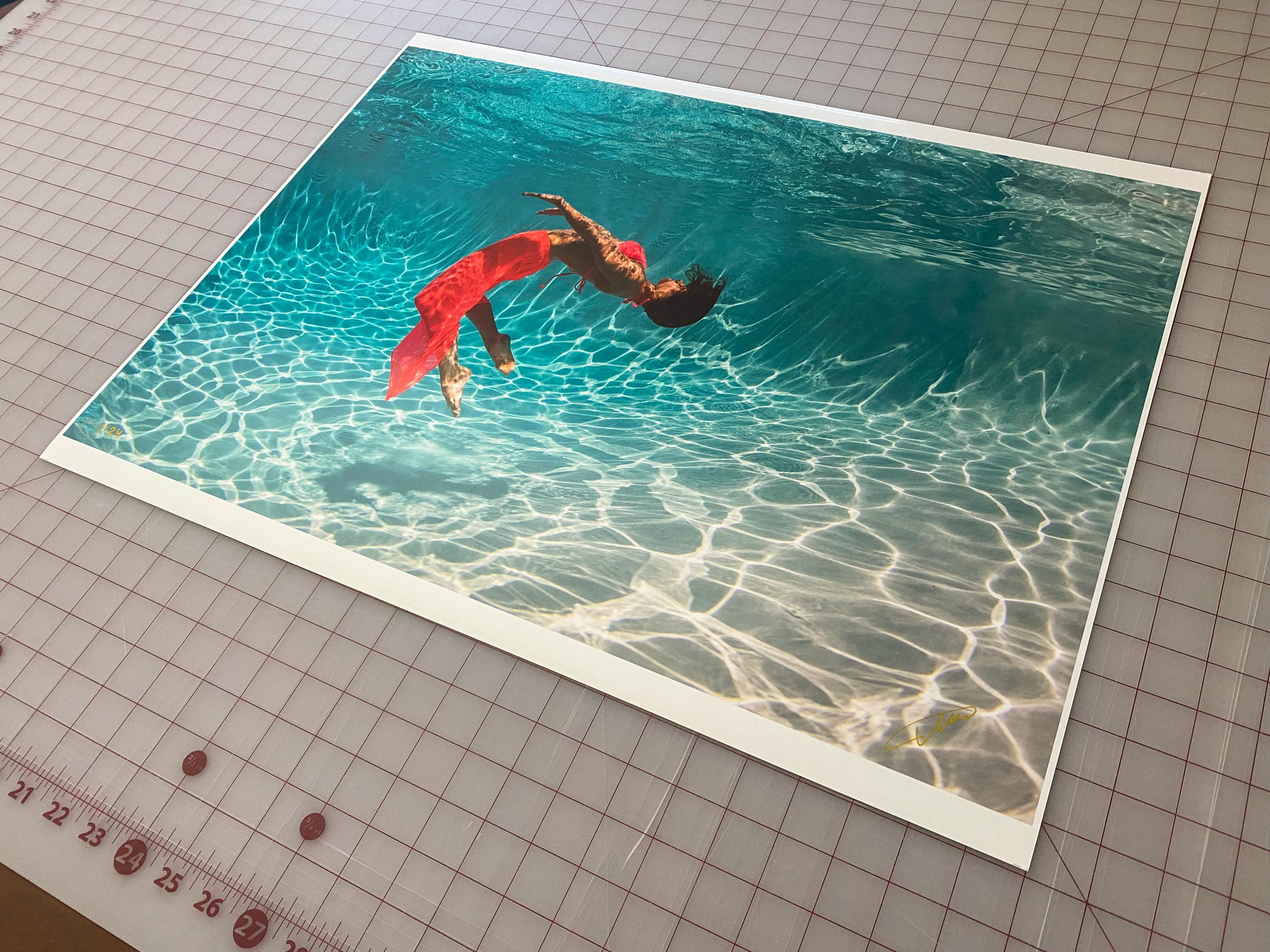 Flurry - underwater photograph - archival pigment print 18