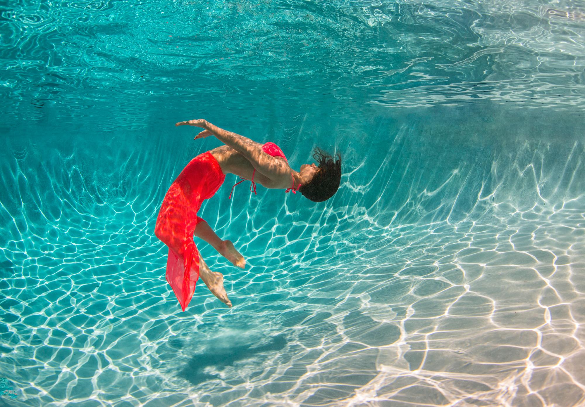 Alex Sher Color Photograph - Flurry - underwater photograph - print on aluminum 24" x 36"