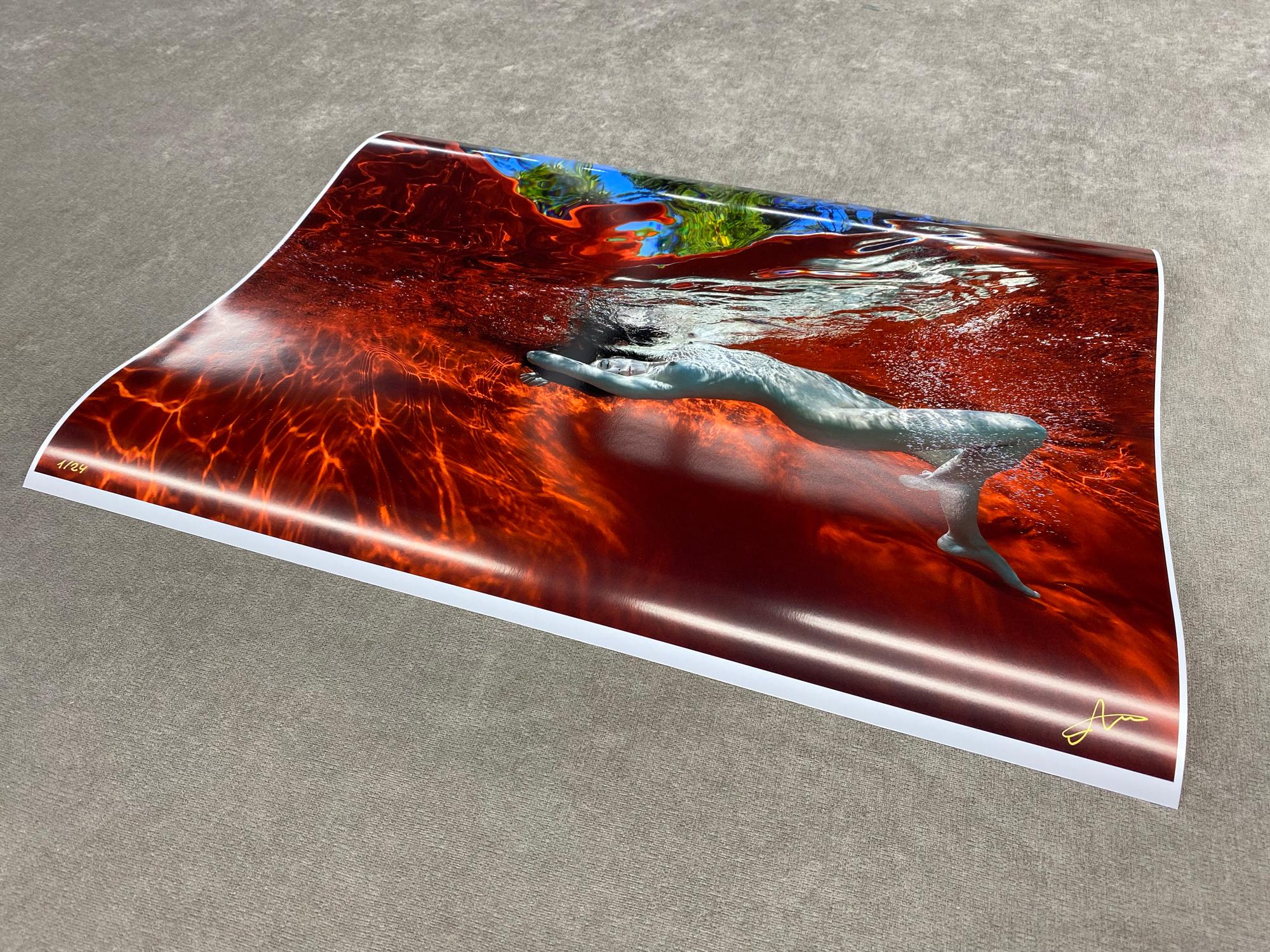 Garden Pool - underwater nude photograph - print on paper 25.3x35