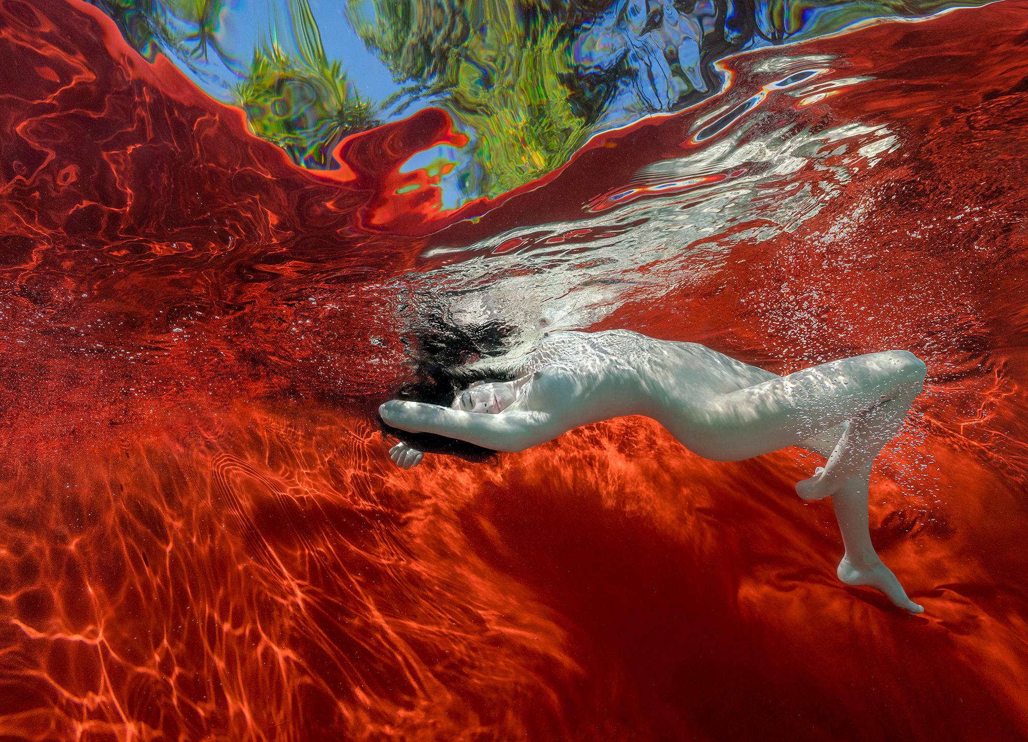 Garden Pool - underwater nude photograph - print on paper 35" x 48"