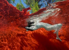 Aquarelle de jardin - photographie de nu sous-marine - impression sur papier 35" x 48"