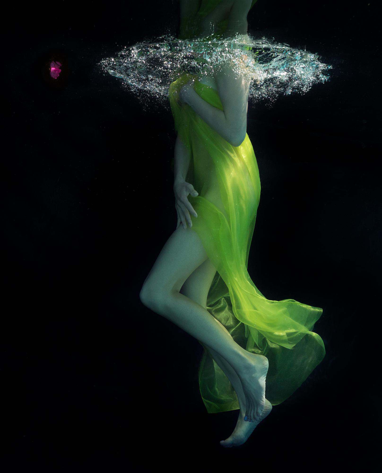 Alex Sher Color Photograph – Grüne Knospenknospen – Unterwasserfotografie – Druck auf Papier 56" x 43"