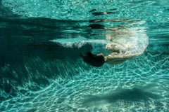 Green Roll I  - underwater nude photograph - print on aluminum 24x36"