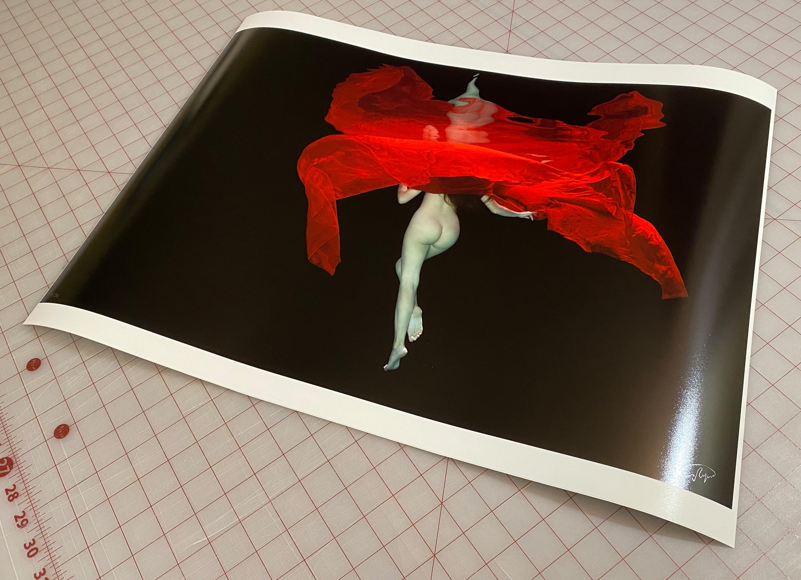 Hibiscus - underwater nude photograph - archival pigment print 18
