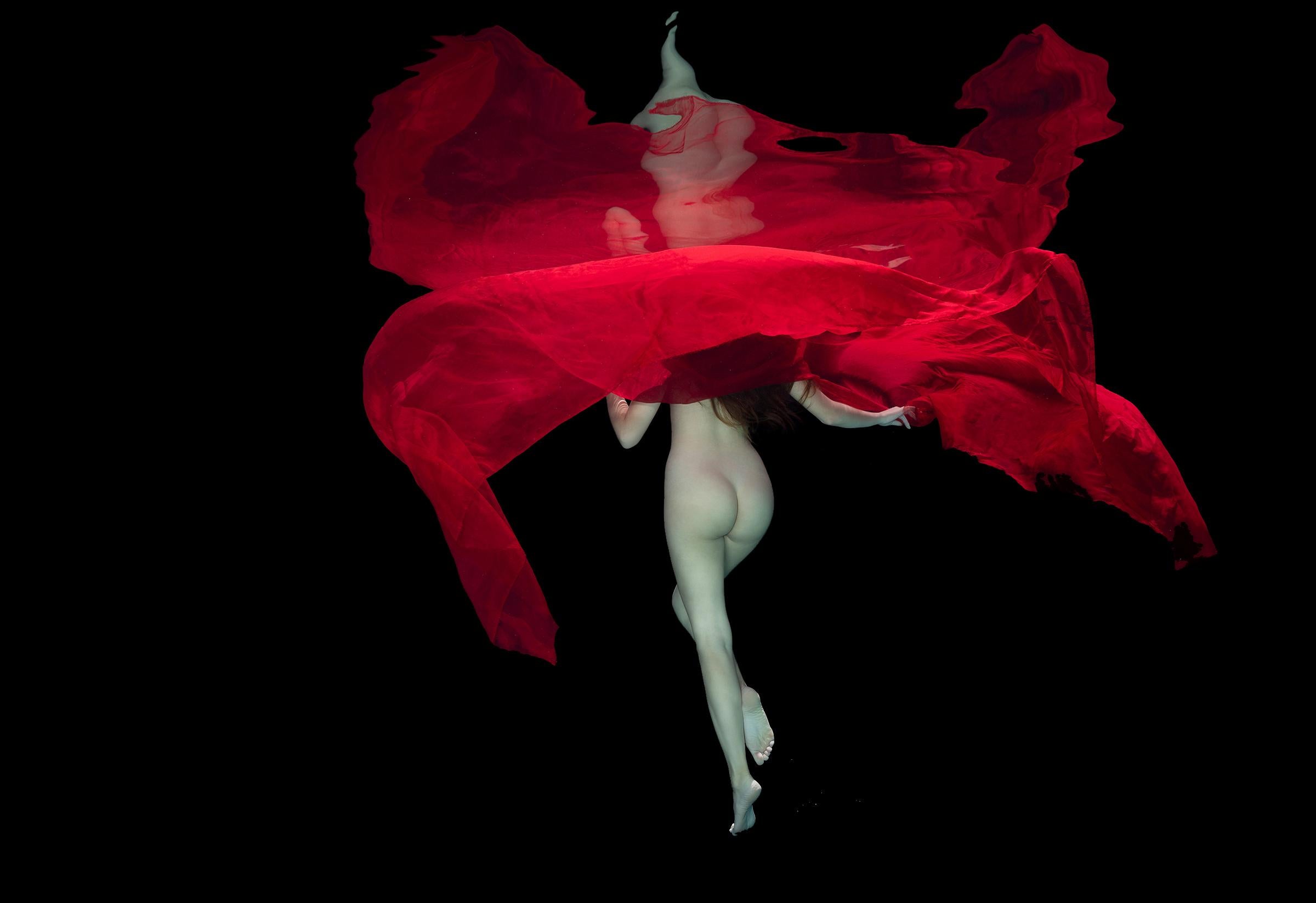 Hibiscus - underwater nude photograph - archival pigment print 24" x 36"