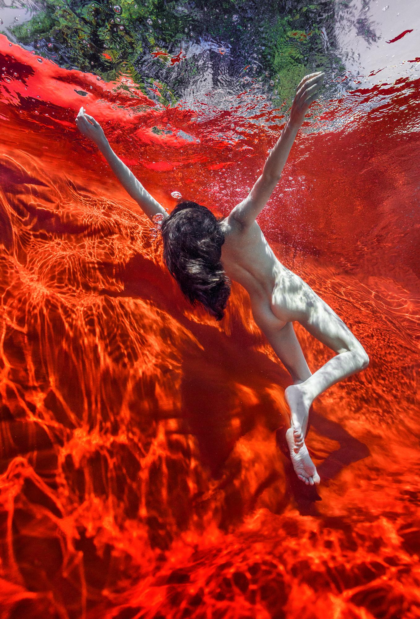 Alex Sher Color Photograph - Hot Water - underwater nude photograph - print on aluminum 36" x 24"