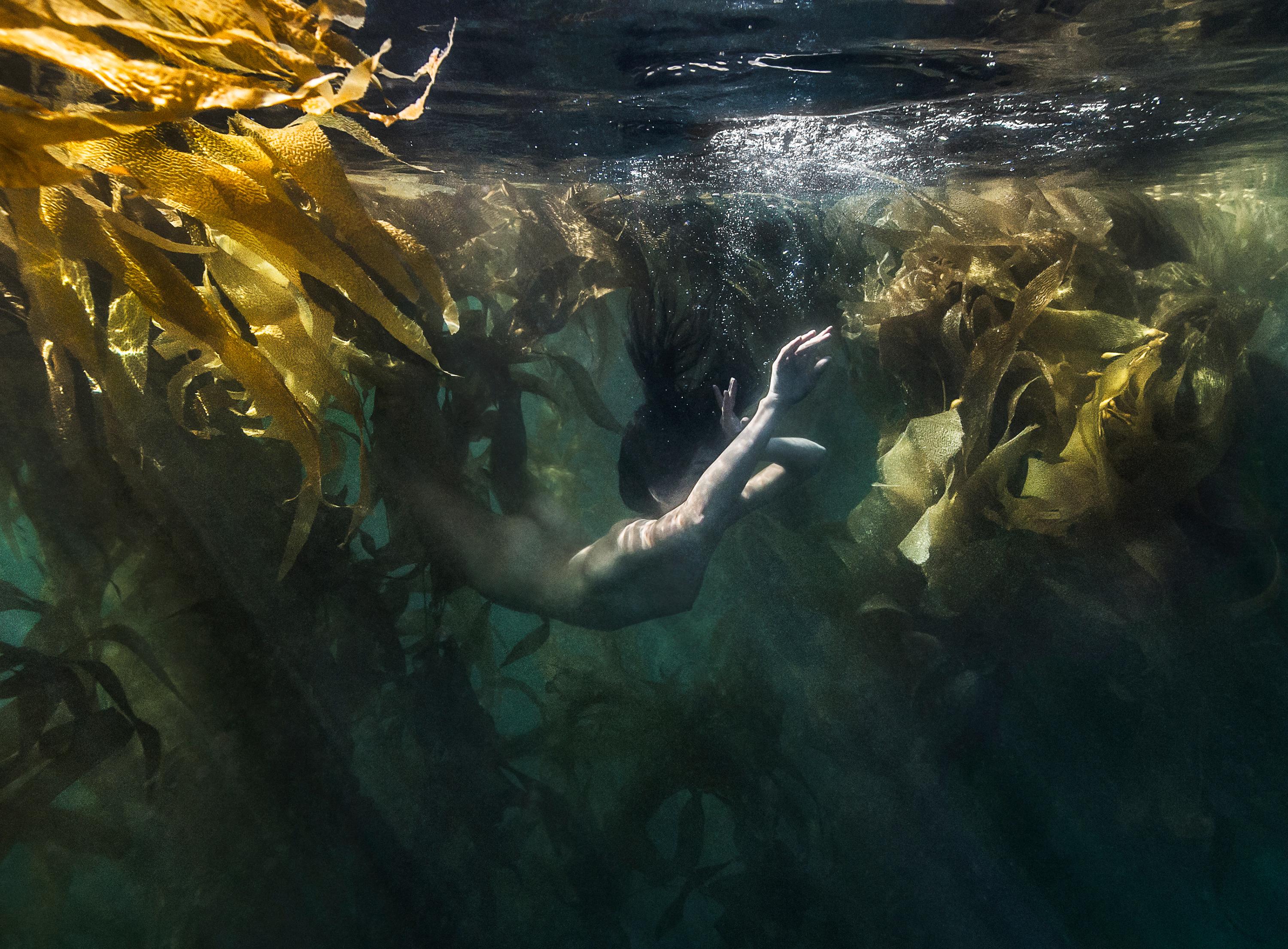 Jungle Mermaid - underwater ocean nude photograph - archival pigment 16x24
