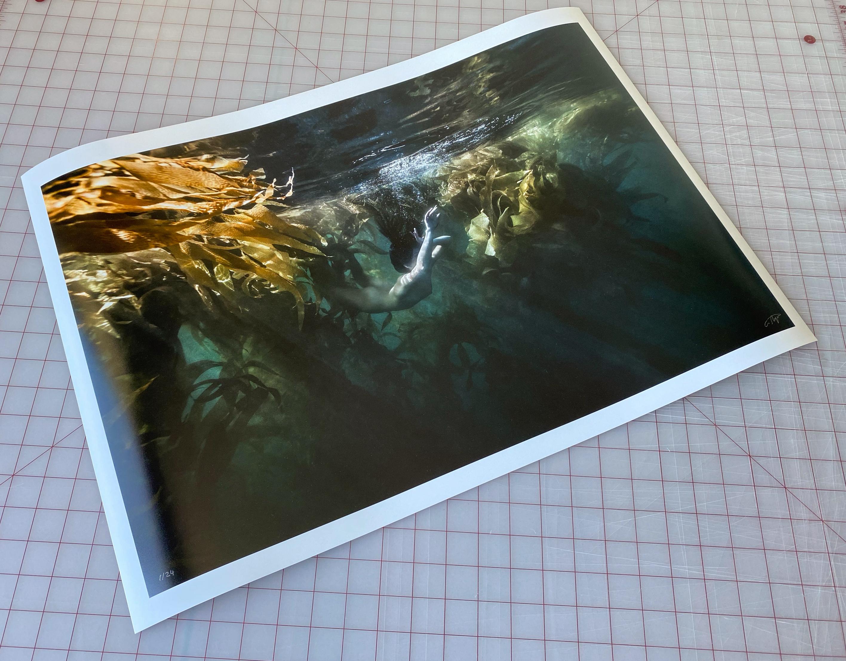 Jungle Mermaid - underwater ocean nude photograph - archival pigment 24