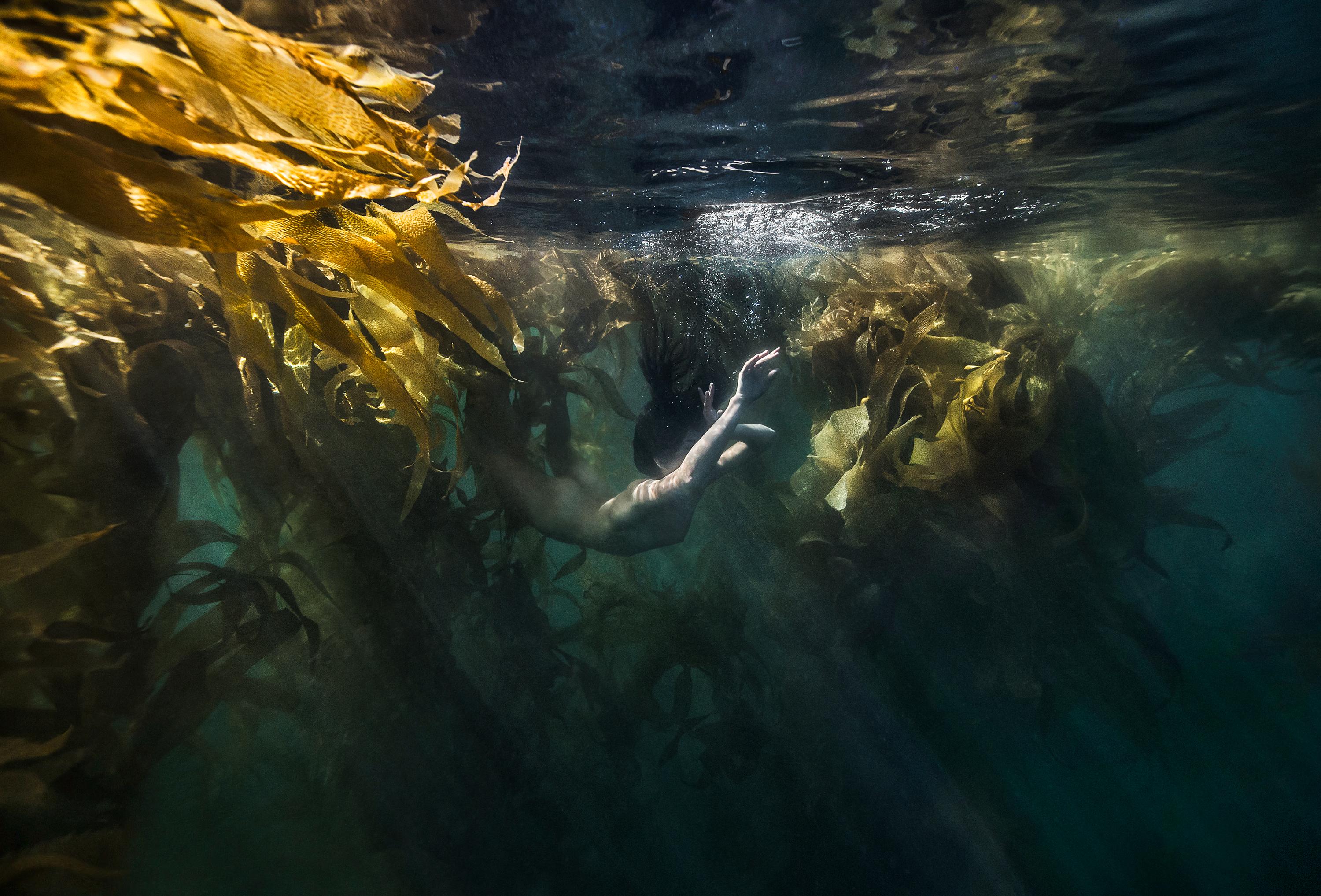 Alex Sher Color Photograph - Jungle Mermaid - underwater ocean nude photograph - archival pigment 35" x 52"
