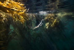 Jungle Mermaid - Unterwasser-Ocean-Aktfotografie - Archivalisches Pigment 35" x 52"