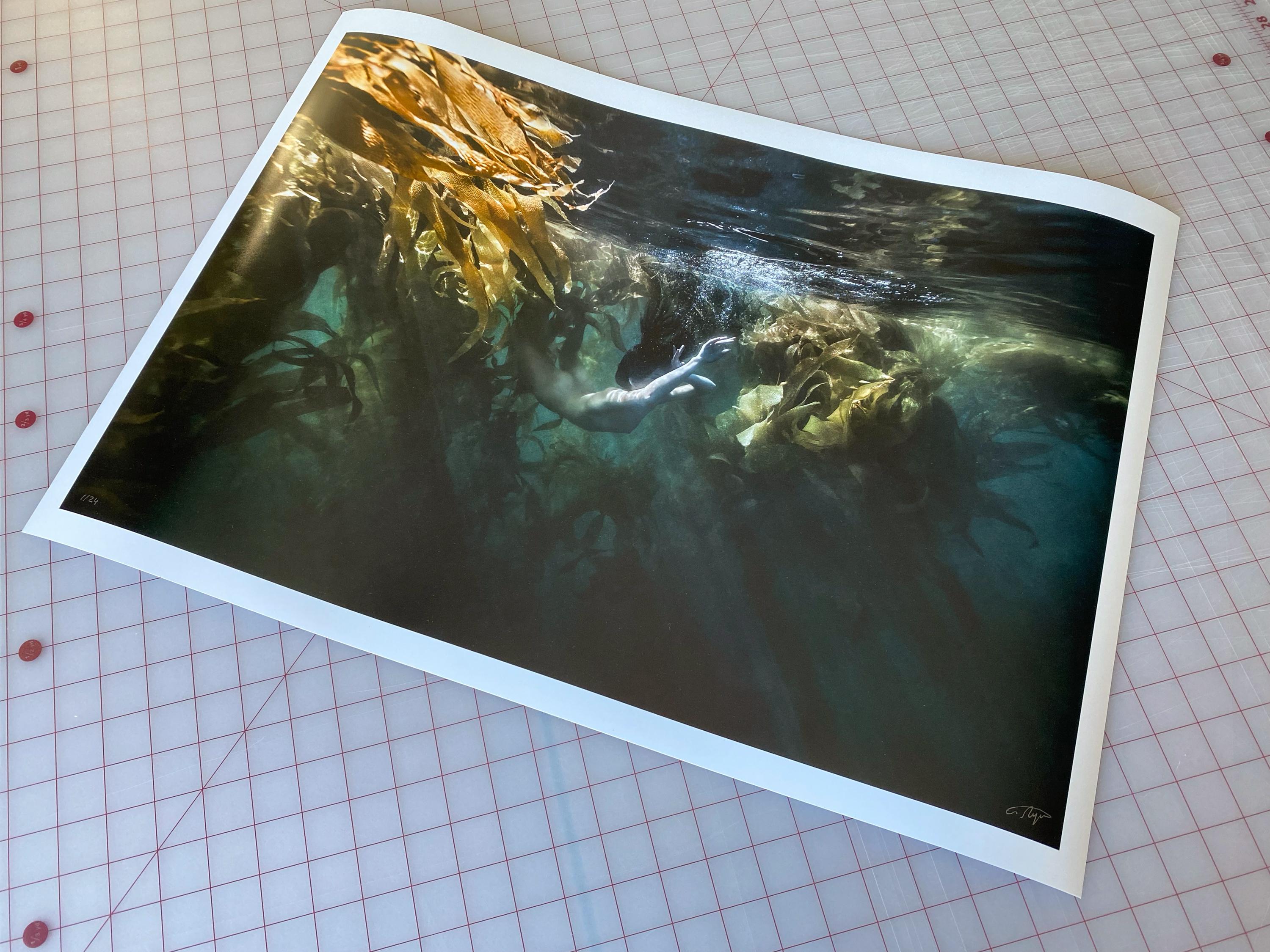 Jungle Mermaid - underwater ocean nude photograph - archival pigment 43
