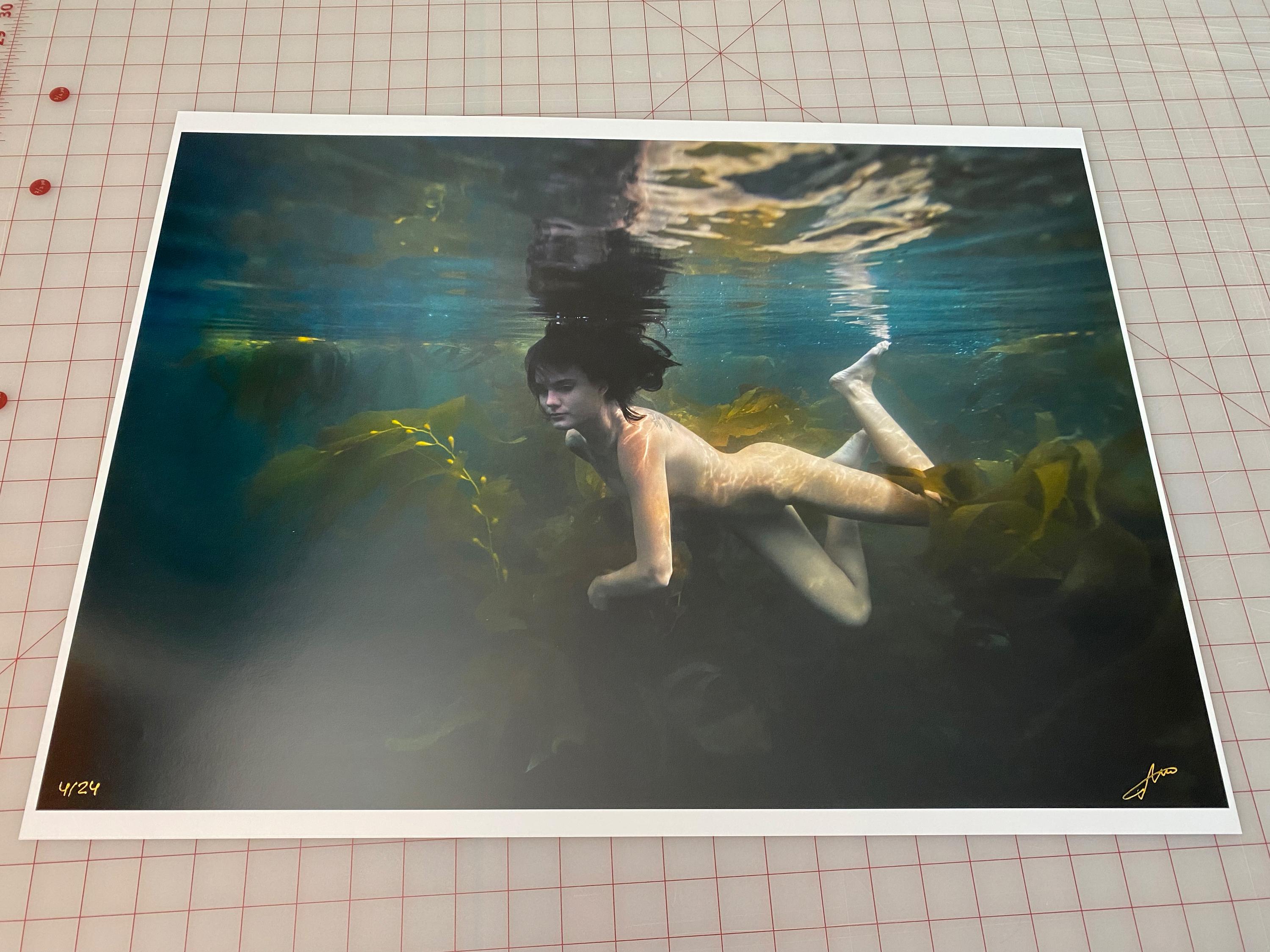 Kelp Meerjungfrau – Aktfotografie im Unterwasser – Archivalistischer Pigmentdruck (Schwarz), Color Photograph, von Alex Sher