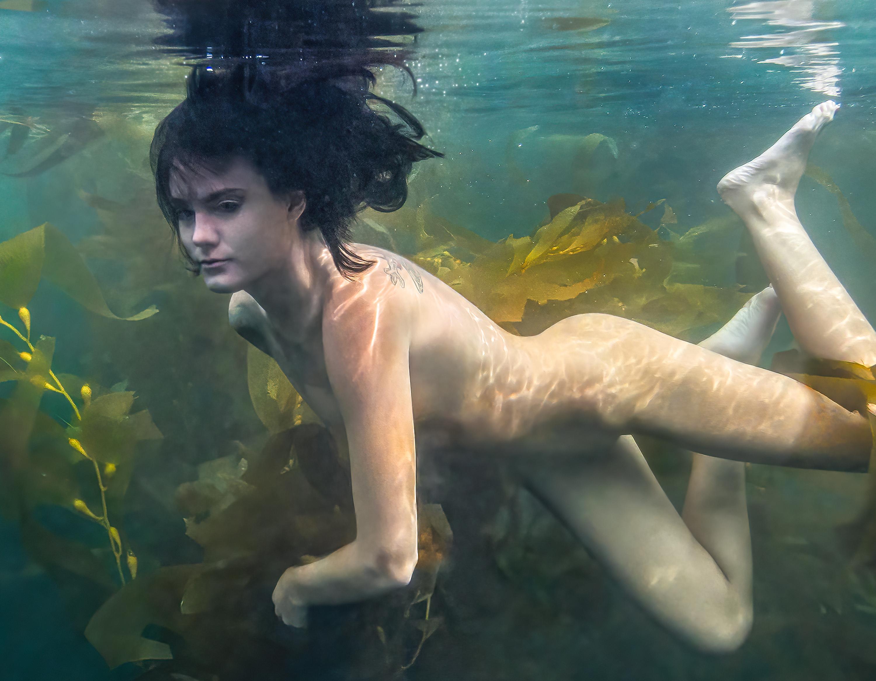 kelp forest mermaid