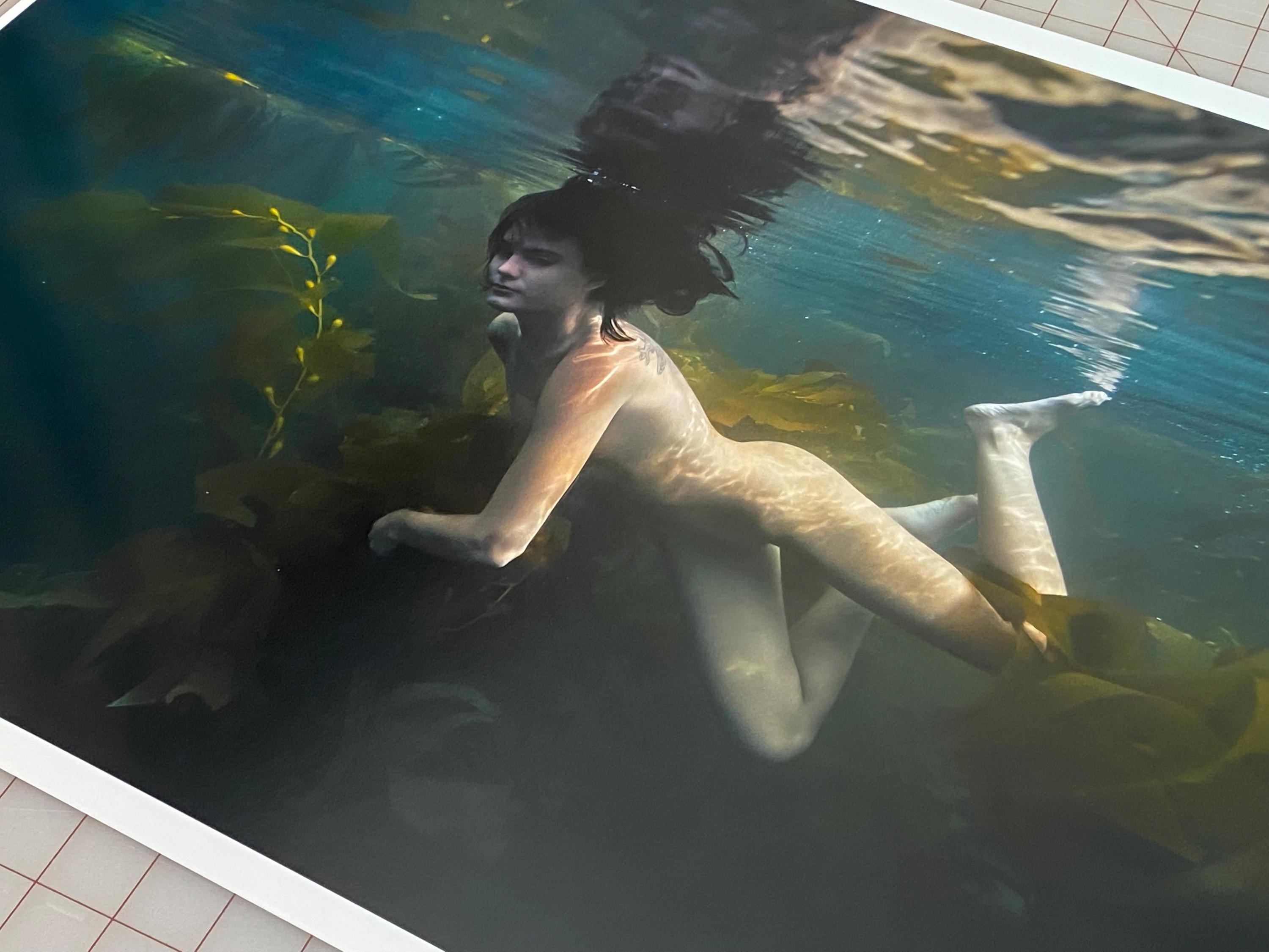Photographie sous-marine d'une fille nue nageant dans une forêt de varech. Son corps magnifique est entouré de varechs. La photo a été prise dans l'océan Pacifique près de la péninsule de Palos Verdes, en Californie. 

Tirage original au pigment