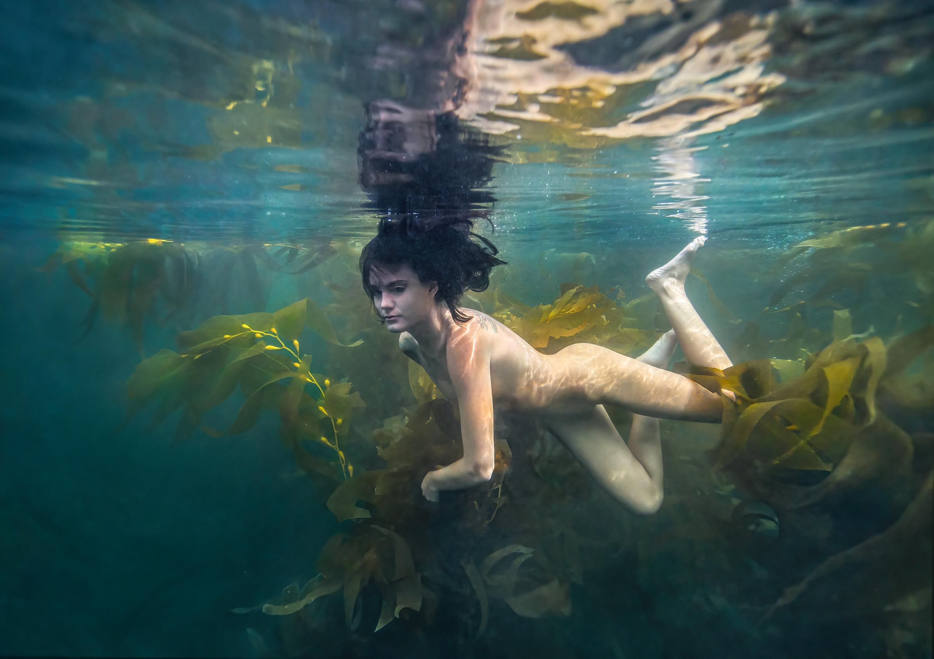 Figurative Photograph Alex Sher - Kelp Mermaid - photographie de nu sous-marin - tirage pigmentaire d'archives 24x35".