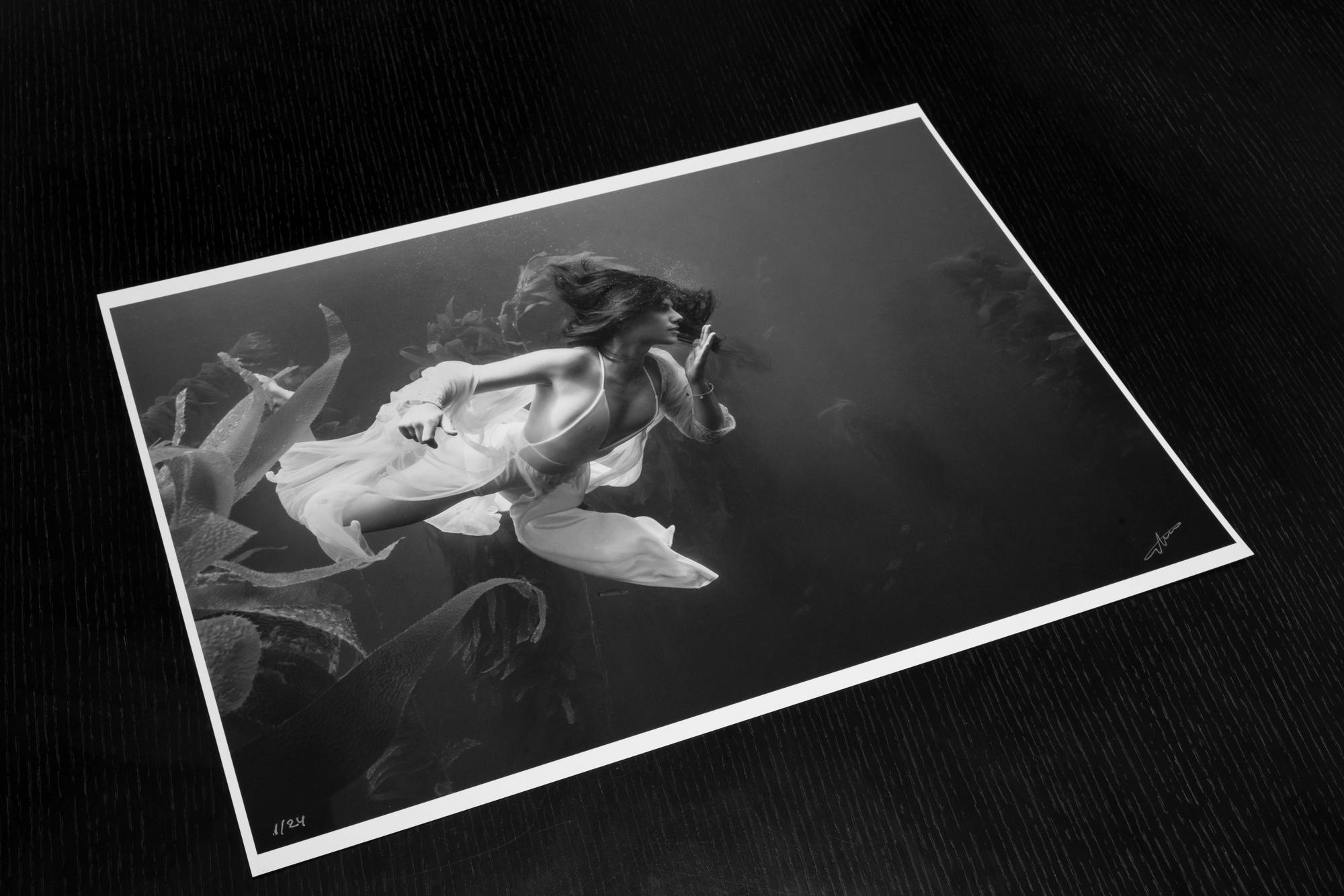 Kelp Nymph - underwater ocean black & white photograph print on paper 18