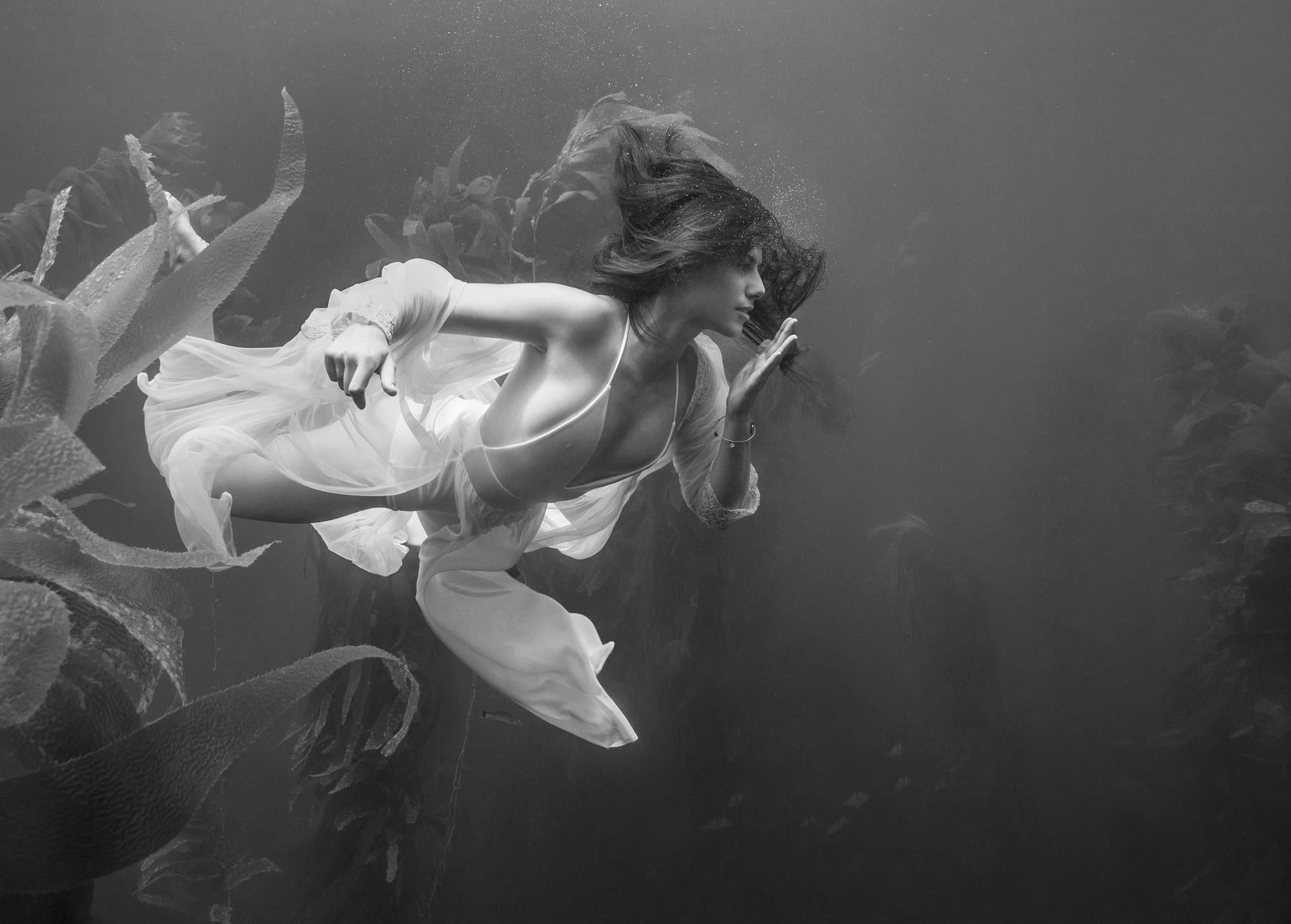 Alex Sher Black and White Photograph - Kelp Nymph - underwater ocean black & white photograph print on paper 18" x 24"