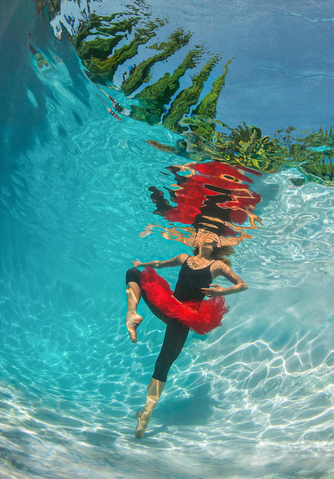 Alex Sher Figurative Photograph - Lombardy Ballet - underwater photograph - print on aluminum 24x17"