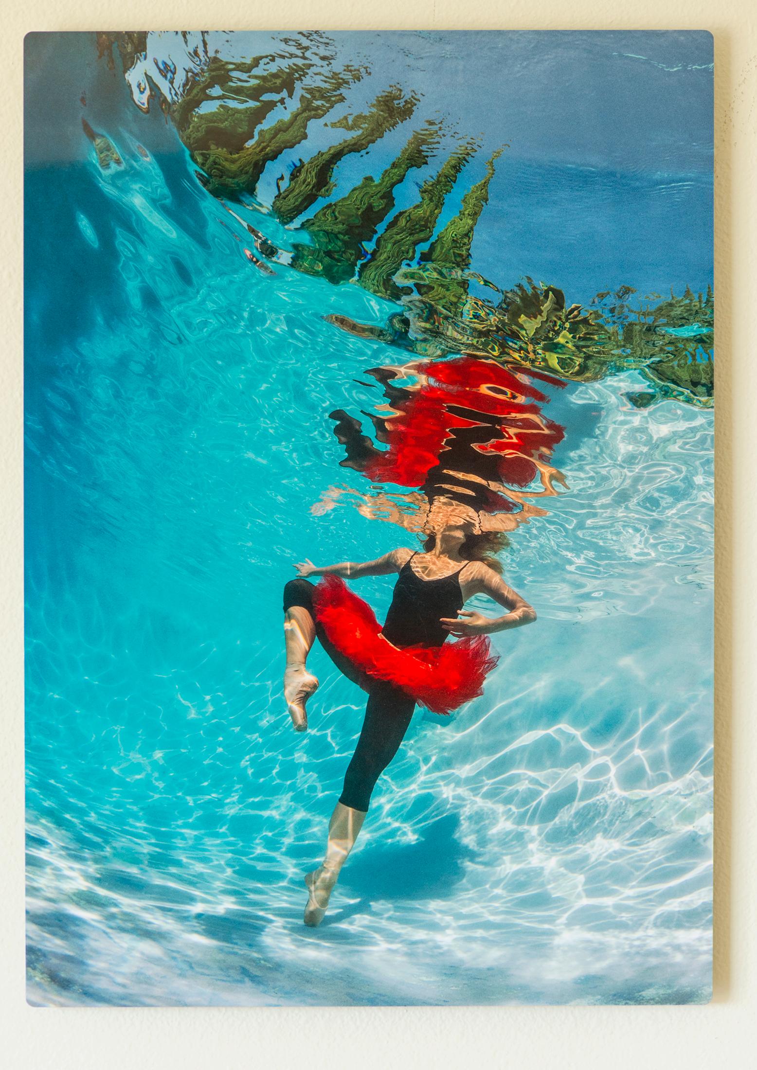 Lombardy Ballet - underwater photograph - print on aluminum 24x17
