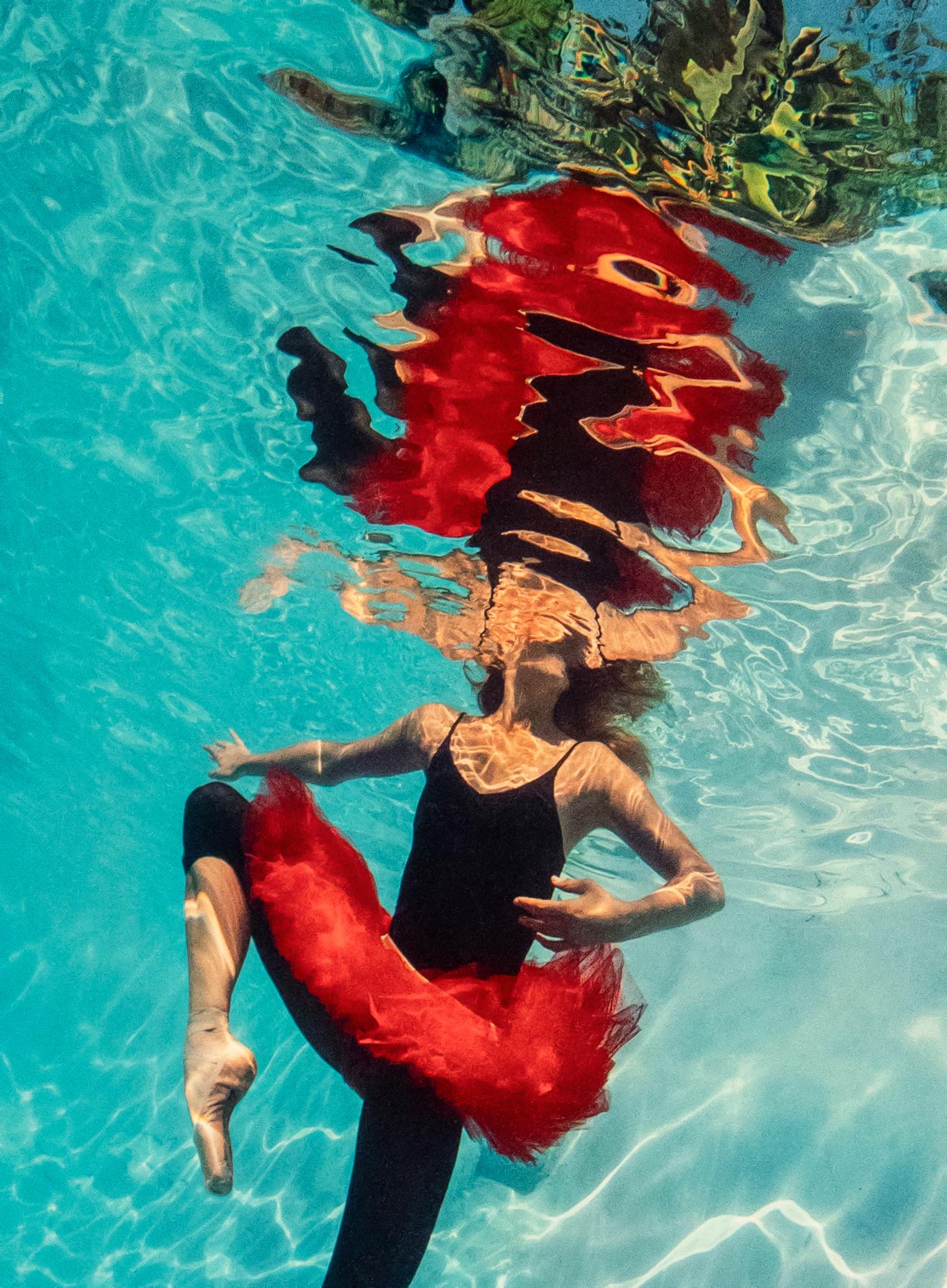 Le ballet lombard - photographie sous-marine - impression sur aluminium 24x17