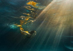 Magie Lite – Unterwasserfotografie – Archivpigment 18" x 24"