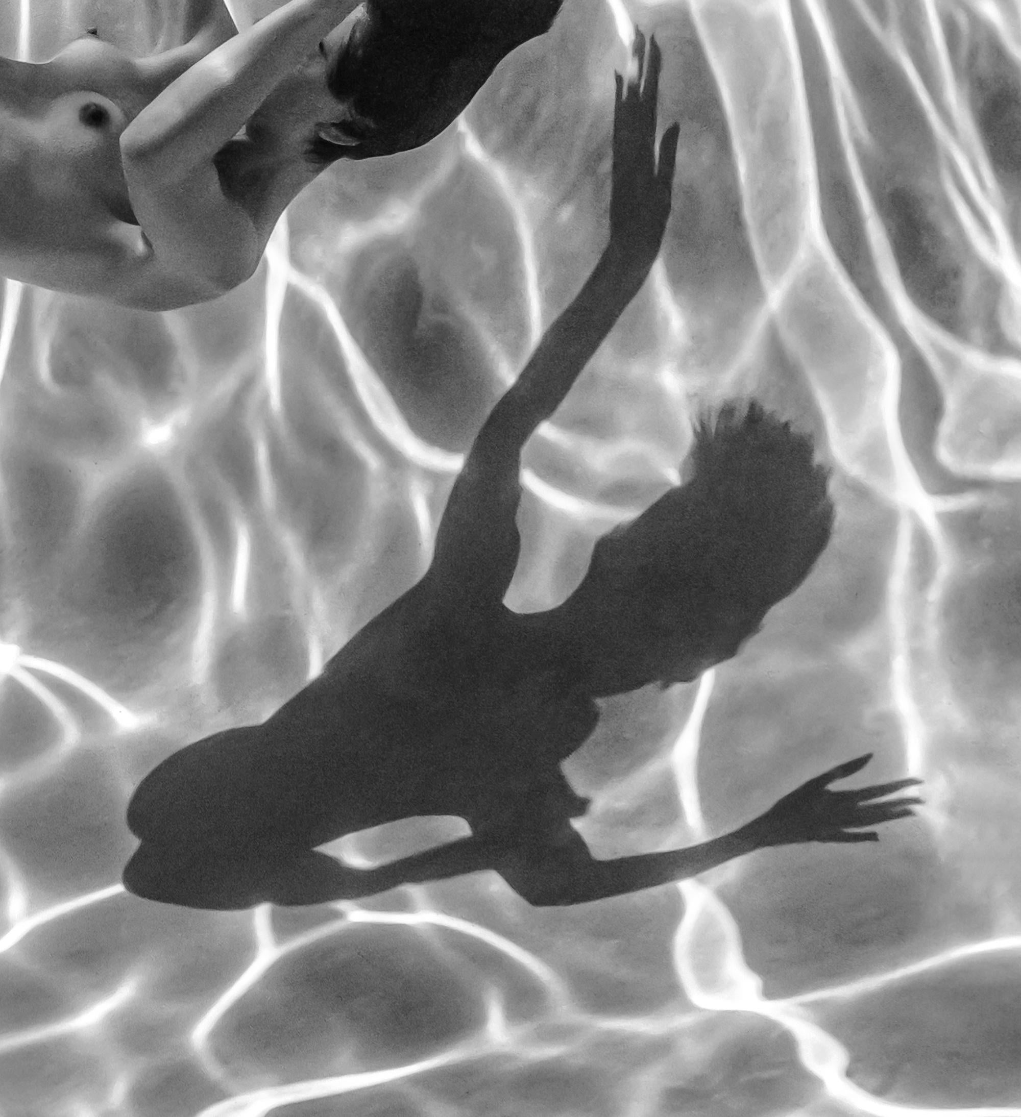 Marble Cave ist eine Serie von drei Unterwasser-Schwarz-Weiß-Fotografien, die eine junge nackte Frau beim Schwimmen in einem Pool zeigen. Ihr kräftiger Körper wirft einen bizarren Schatten auf den Boden des Beckens, der mit einem Netz aus