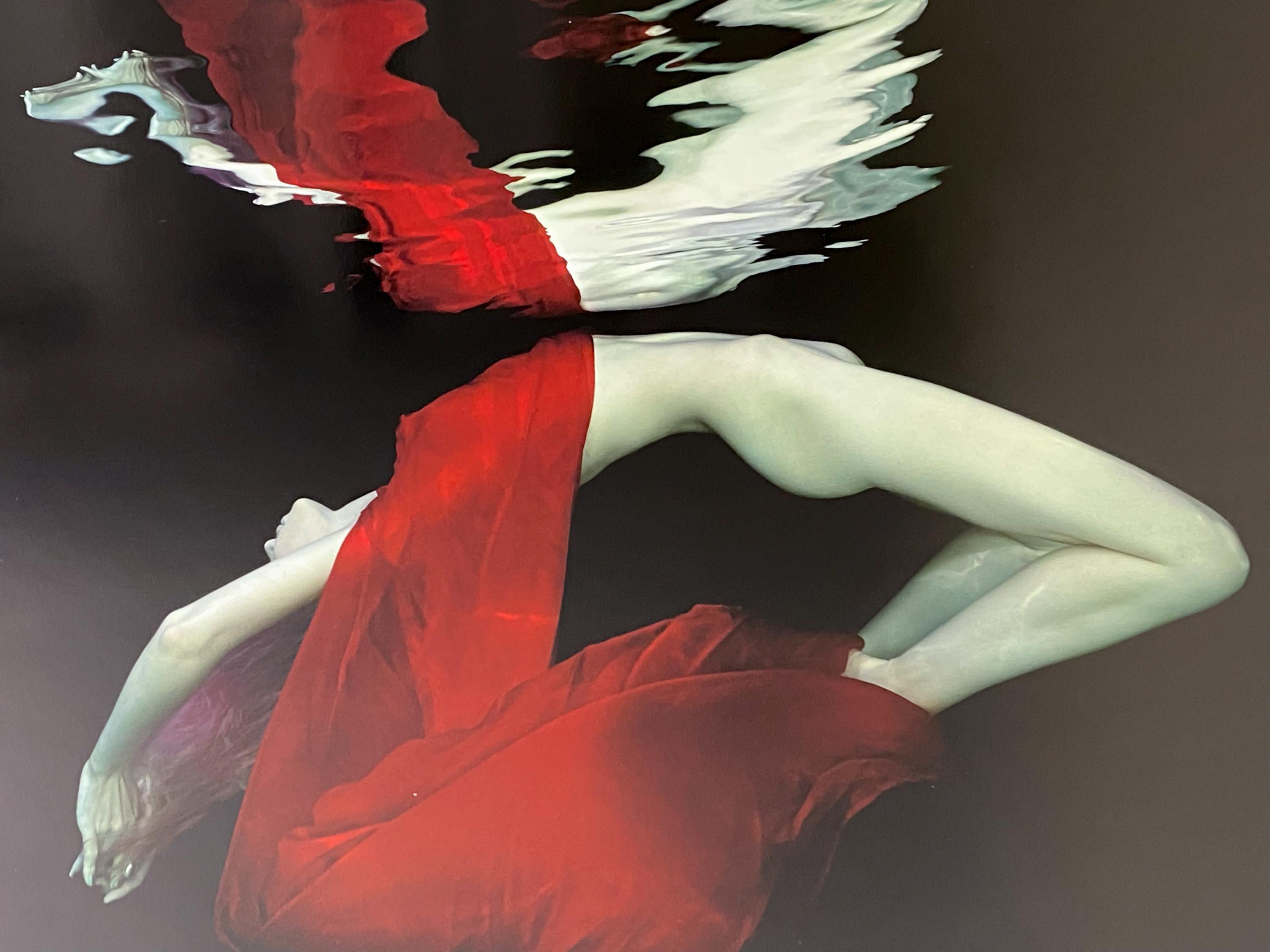 Mercury- underwater nude photograph - archival pigment print 35